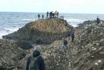 PICTURES/Northern Ireland - The Giant's Causeway/t_HH1.JPG